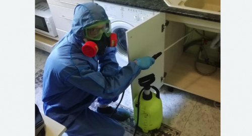 Уничтожение муравьев в квартире. Константиновск