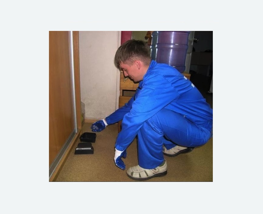 Дератизация крыс в Константиновске