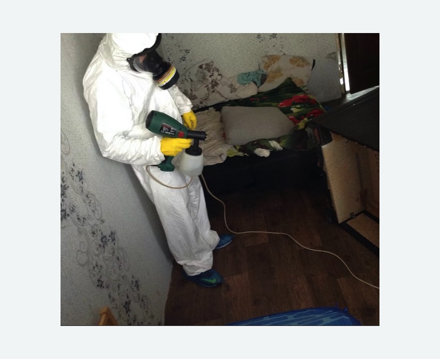Обработка от насекомых в Константиновске Обработка квартиры от насекомых
