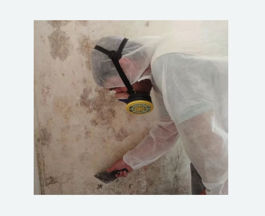 Обработка стен от плесени Обработка стен от плесени в Константиновске