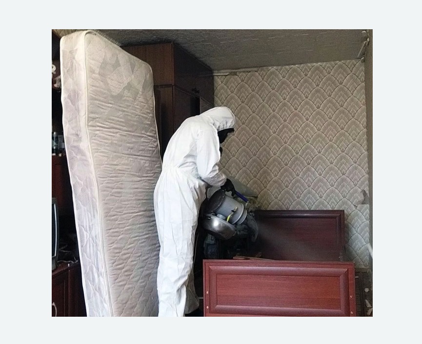 дезинфекция от клопов в Константиновске