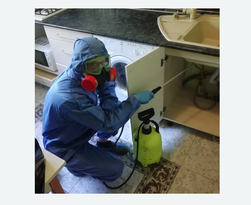 обработка от муравьев в квартире в Константиновске