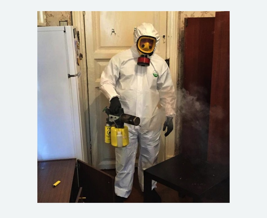 уничтожение муравьев в квартире в Константиновске